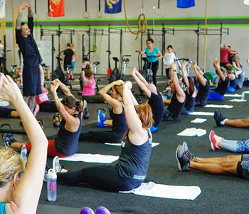 Sean O'Shea Foundation