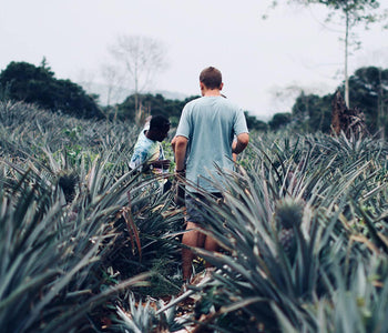 Research College Of Nursing