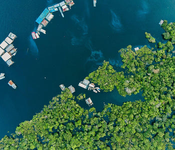 University of Mississippi Medical Center